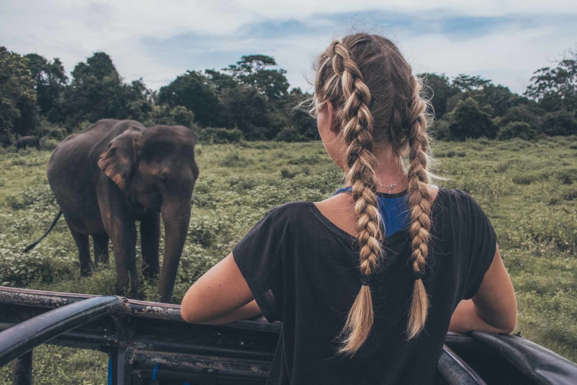Elefantensafari im Kaudulla Nationalpark in Sri Lanka