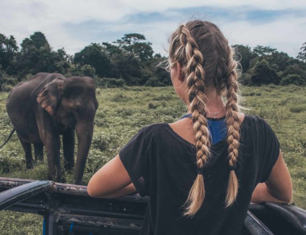 Elefantensafari im Kaudulla Nationalpark in Sri Lanka