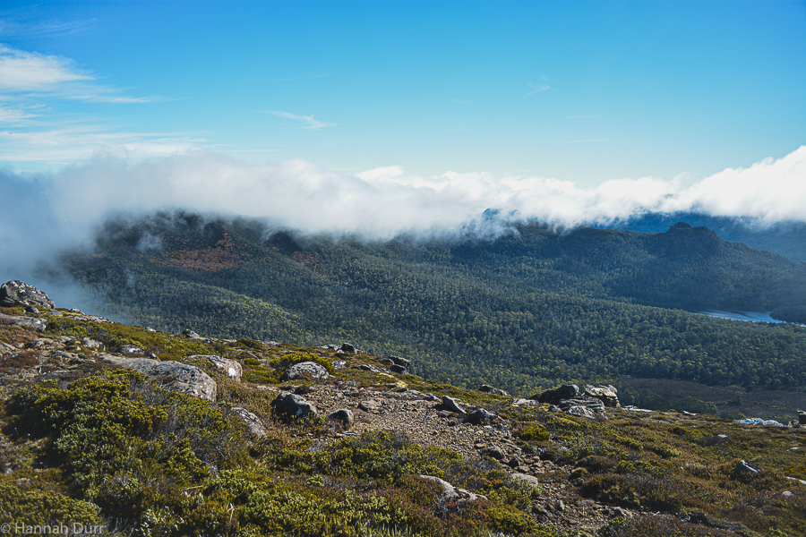 Schöne Aussicht vom Mount Rufus in Tasmanien